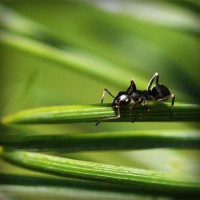 /album/jardineria-xochimilco/photolia-a05-jpg/